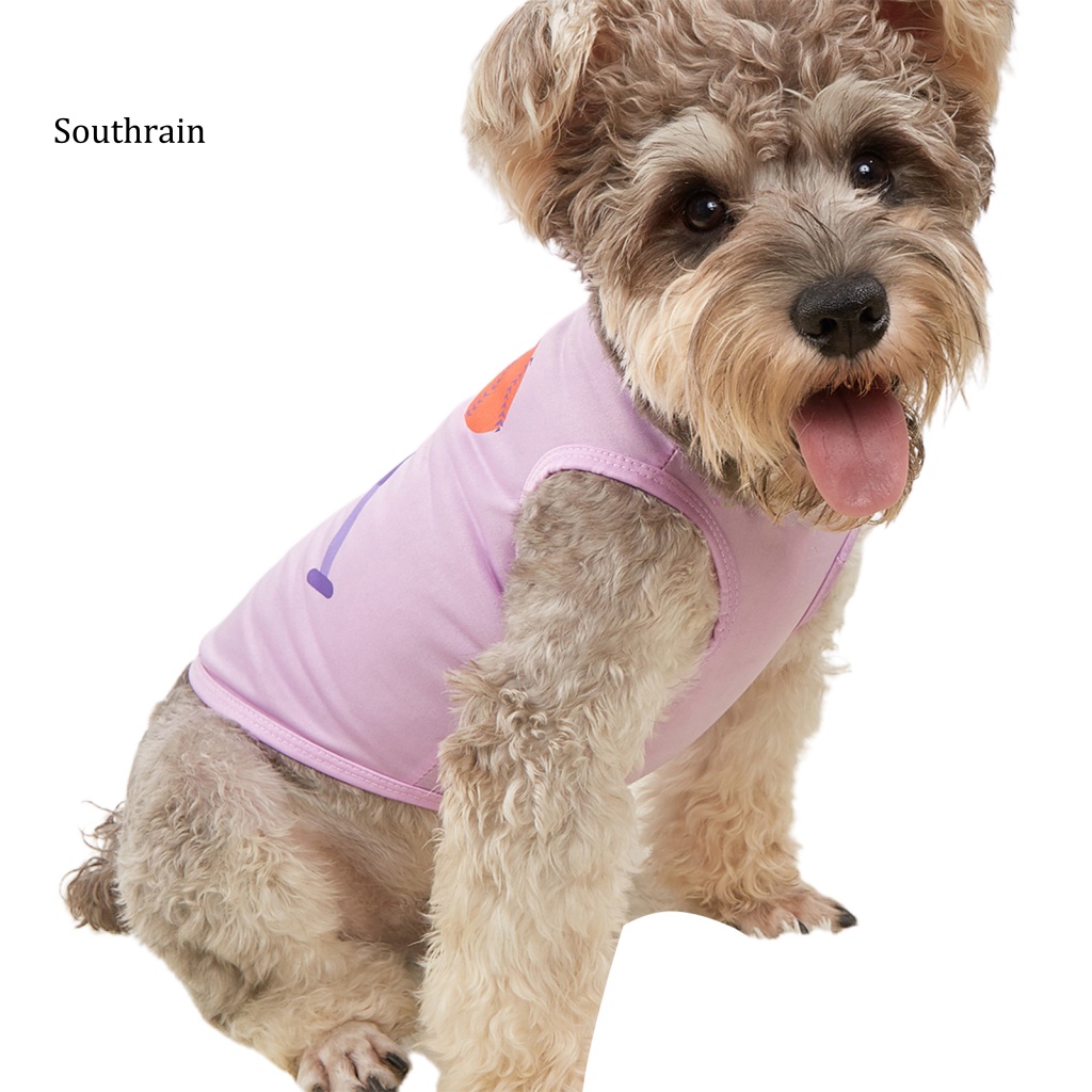 Áo Sweater Lưới Không Tay In Họa Tiết Hoạt Hình Dễ Thương Thời Trang Mùa Hè Cho Thú Cưng
