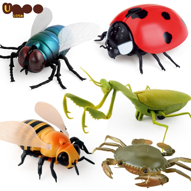 Đồ Chơi Côn Trùng Điện Tử Điều Khiển Từ Xa Hồng Ngoại Hình Halloween Cho Bé