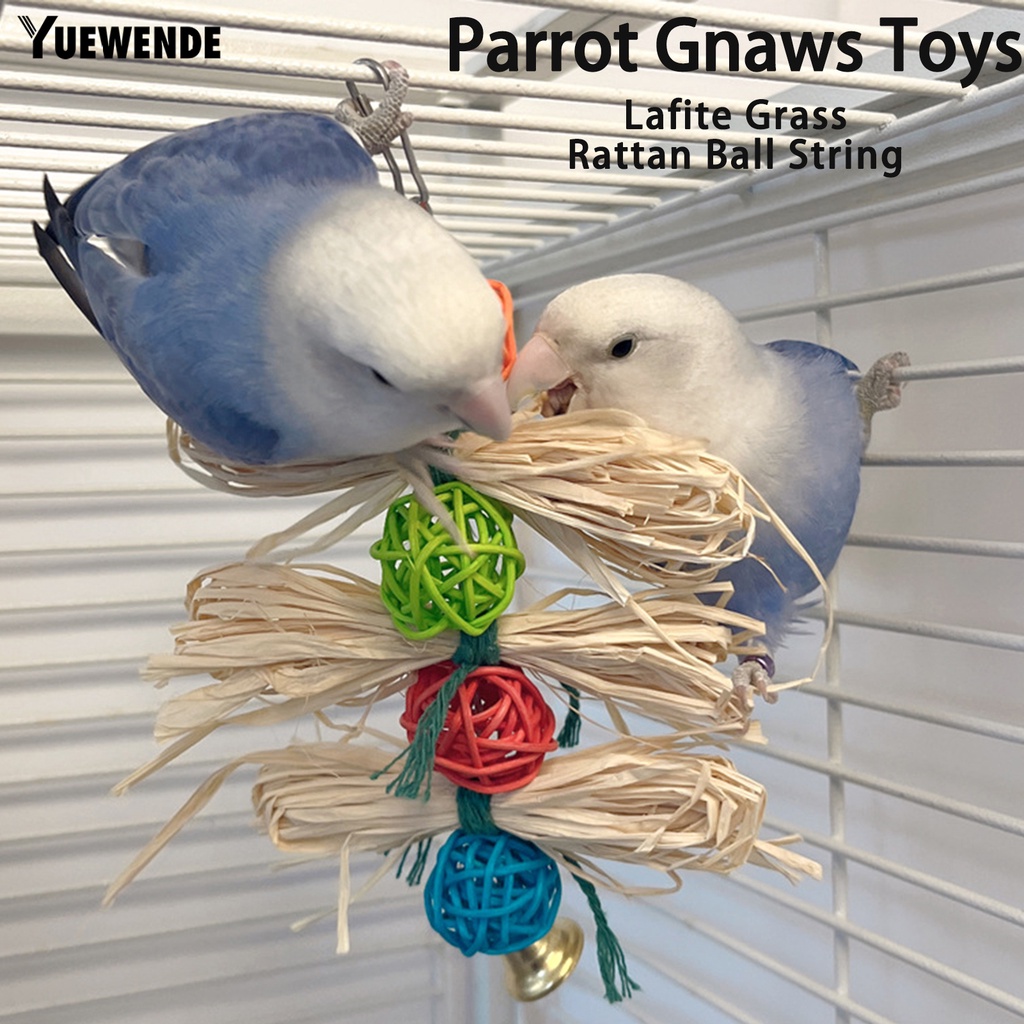 Đồ Chơi Mài Răng An Toàn Cho Chim Cảnh