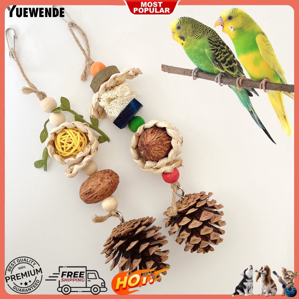 Đồ Chơi Nhai Gặm Hình Nón Có Dây Đeo Chống Cắn Dễ Treo Cho Chim Vẹt