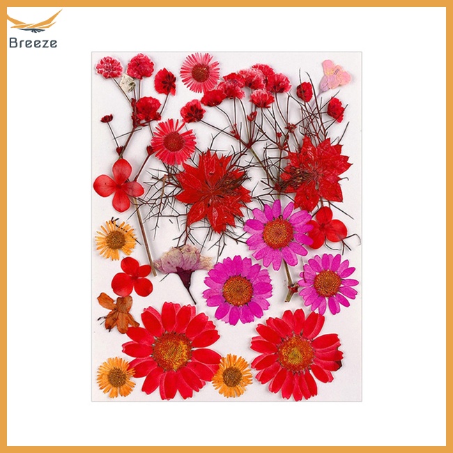 1 Túi Hoa Khô Dùng Trang Trí Điện Thoại / Trang Sức / Móng Tay Nghệ Thuật Diy