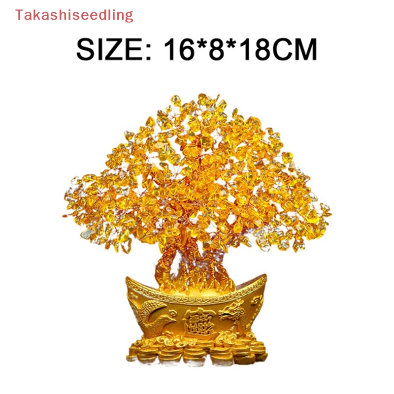 (Takashiseedling) Cây Tài Lộc Vàng Trang Trí Cây May Mắn