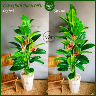 Cây giả, chuối thiên điểu giả trang trí 85,1m3,1m6