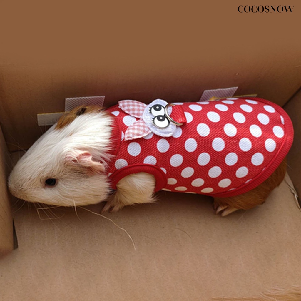 Trang Phục Hàng Xóm Của Tôi Là Totoro Áo Ấm Áp Mùa Thu Đông Cho Chuột Hamster Thỏ Guinea Guinea