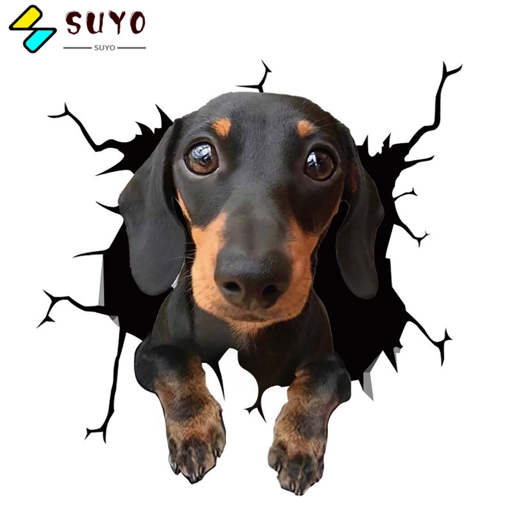 SUYO Miếng Dán Trang Trí Đèn Pha Xe Hơi Chống Trầy Xước / Thấm Nước Tiện Dụng