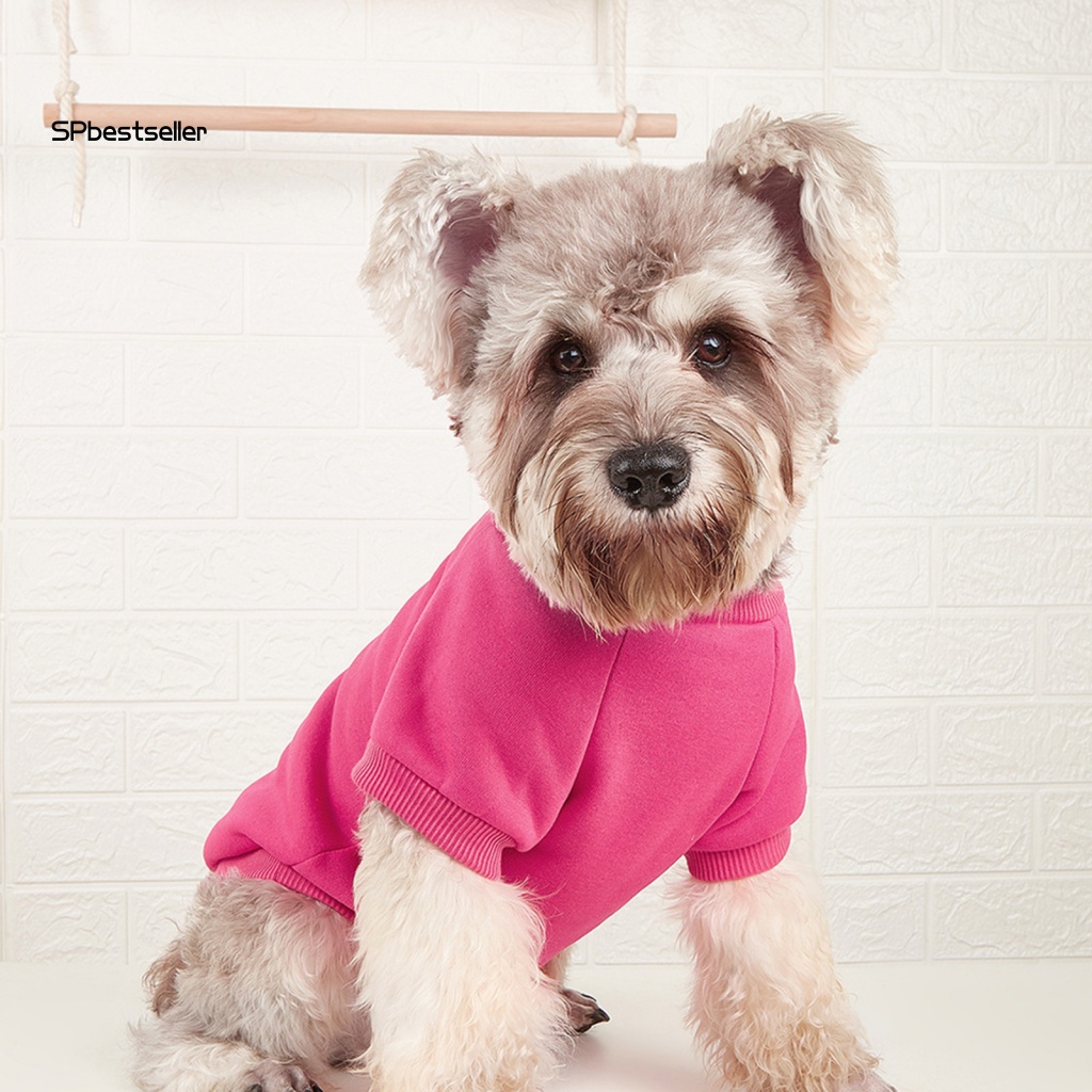 Áo Sweater Mùa Đông Chui Đầu Chống Chó Nhỏ