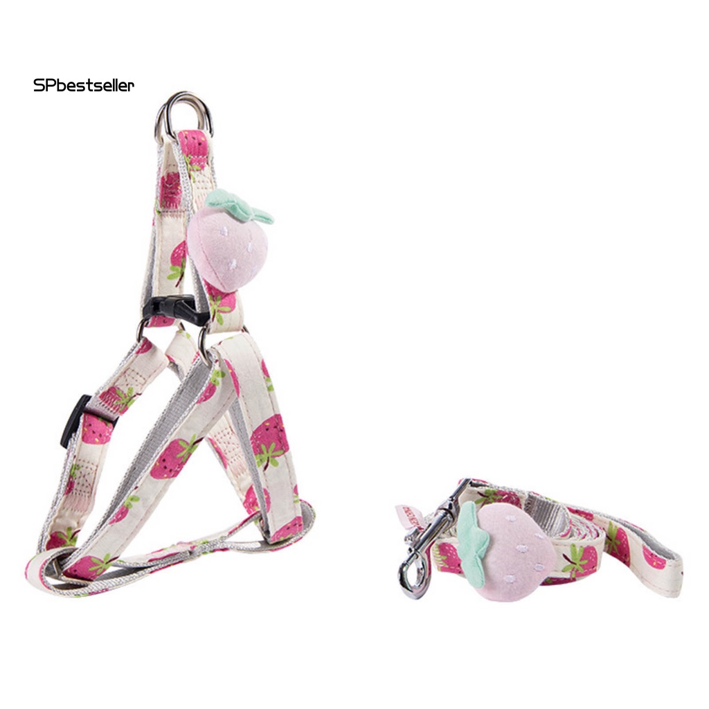 Đai Dắt Thú Cưng Đi Dạo Ngoài Trời Dày Dặn Chắc Chắn