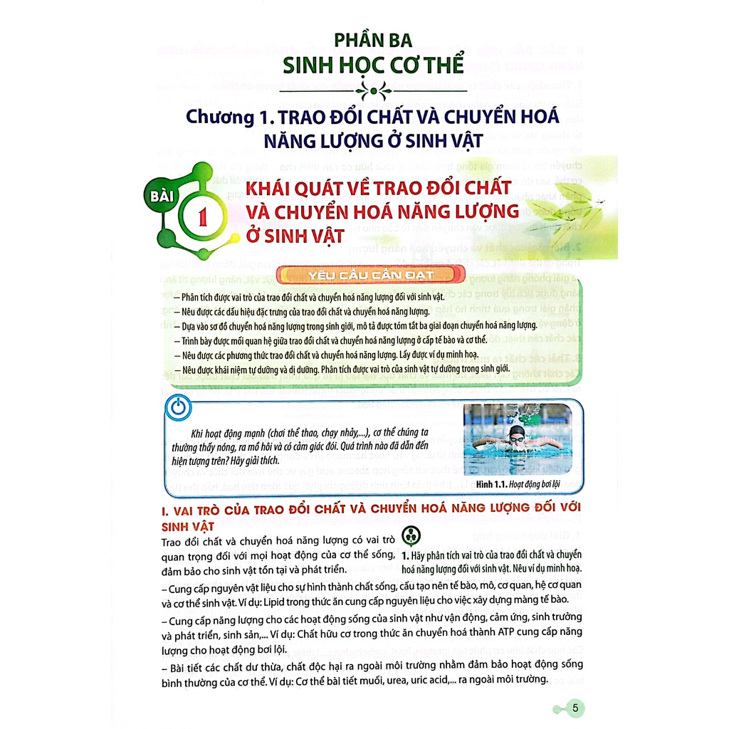 Sách Sinh Học 11 (Chân Trời Sáng Tạo) (2023) | BigBuy360 - bigbuy360.vn