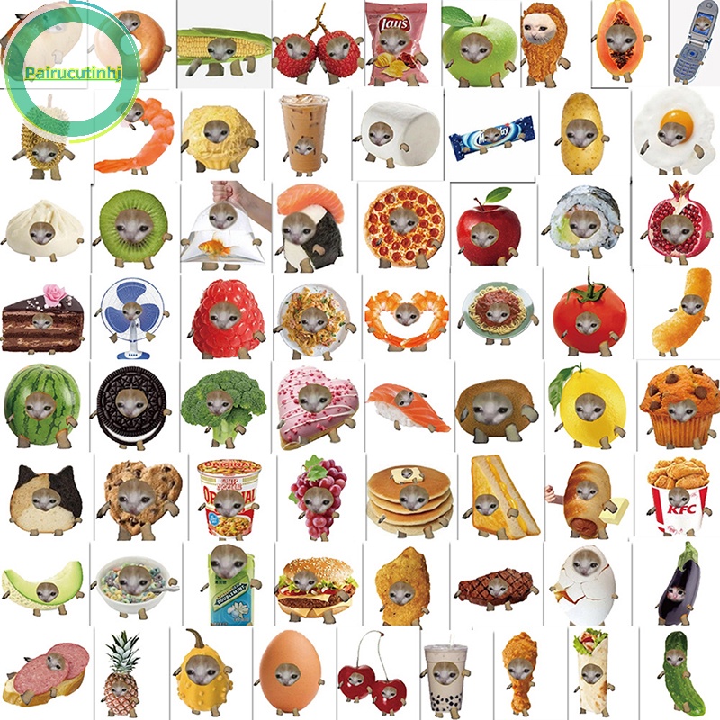 Pairhj 69 cái mèo meme vui nhộn và thức ăn hình dán graffiti dễ thương cho hành lý đồ chơi máy tính xách tay ipad ván trượt điện thoại dán xe vn