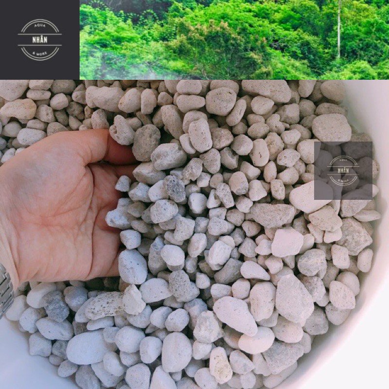 100g SEACHEM MATRIX (LẺ) - MATRIX POND Vật Liệu Lọc Số 1 Cho Bể Cá - Nhhân Aqua- Giao hàng siêu nhan