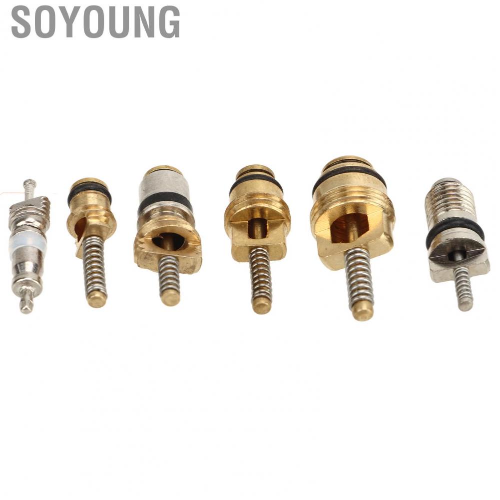 Soyoung AC Valve Core Repair Set  Multipurpose Refrigeration Tire Stem Lightweight Aluminium Copper 41Pcs Portable with Remover for Car Home