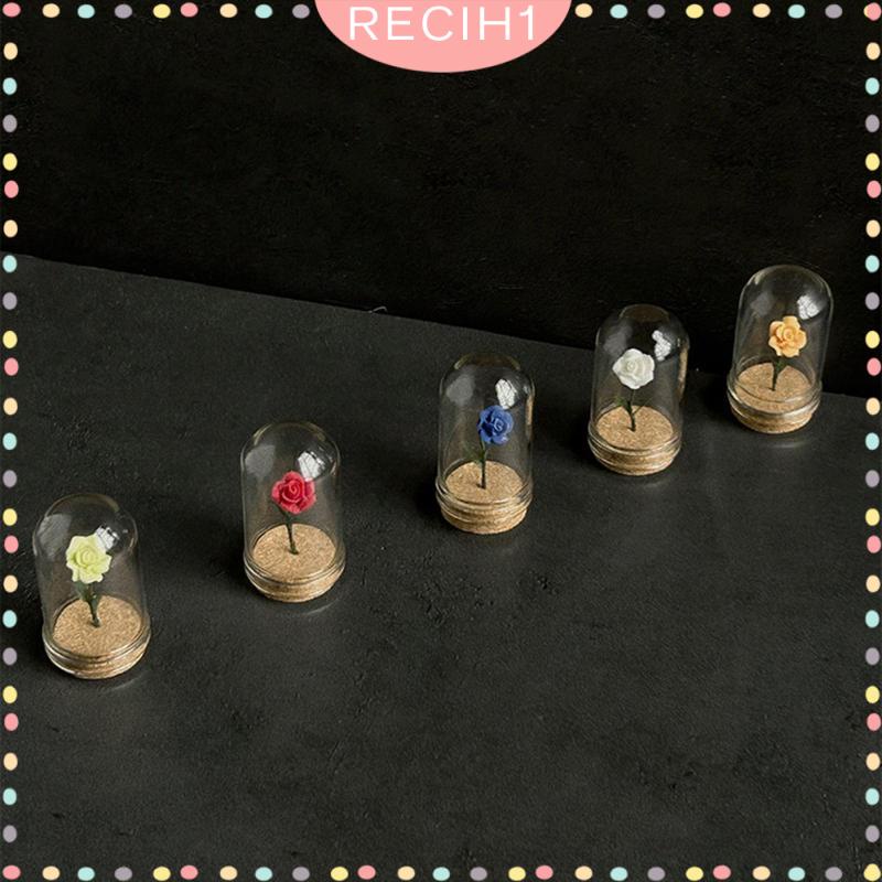 Mô Hình Chậu Hoa Tỷ Lệ 1 / 6 1 / 12 Dùng Trang Trí Nhà Búp Bê