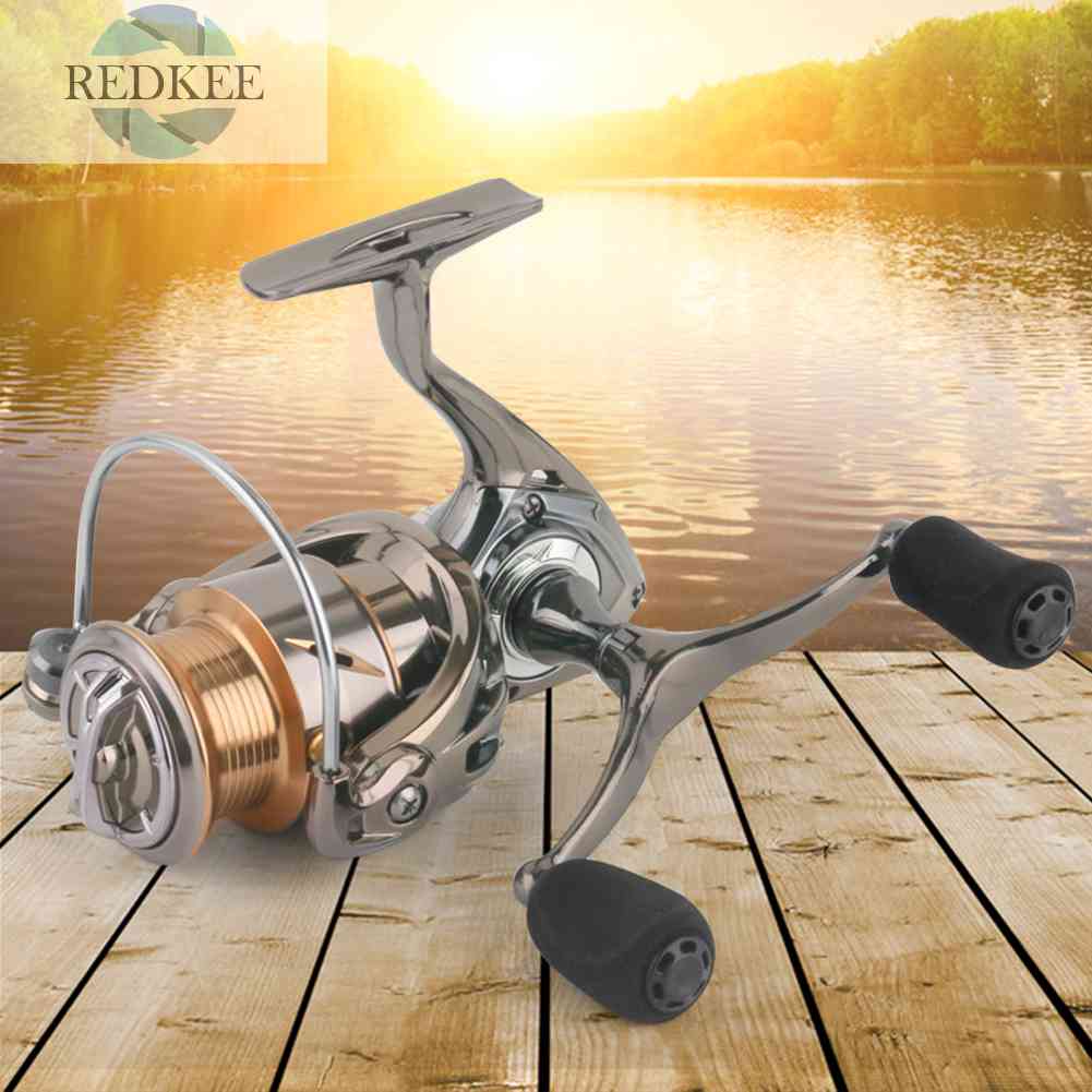 Máy Câu Cá 4 + 1 Bi Chuyên Nghiệp