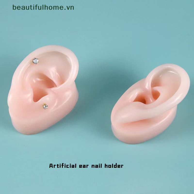 1 Mô Hình Tai Nhân Tạo Bằng Silicon Mềm Dùng Dạy Học