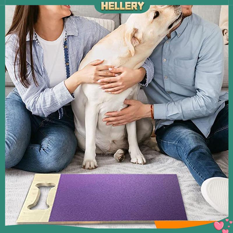 Đệm Mài Móng Tương Tác Với Thú Cưng Tiện Dụng