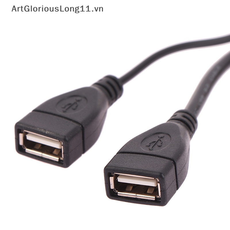 1 Dây Nối Dài Chuyển Đổi Cổng Cắm 15 / 30cm Sang 2 Ổ Cắm USB 2.0 Chuyên Dụng