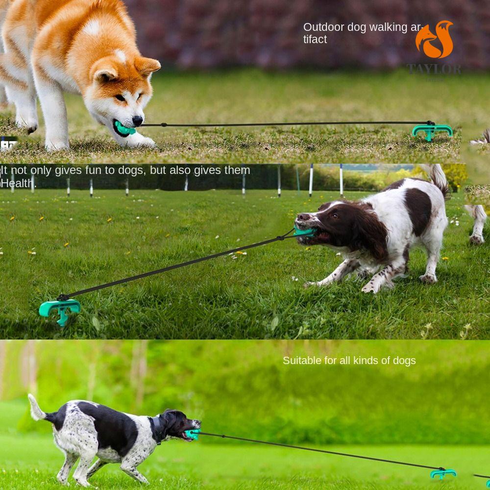 1 Đồ Chơi Nhai Gặm Dạng Quả Bóng Hút Chân Không Đa Năng Cho Thú Cưng