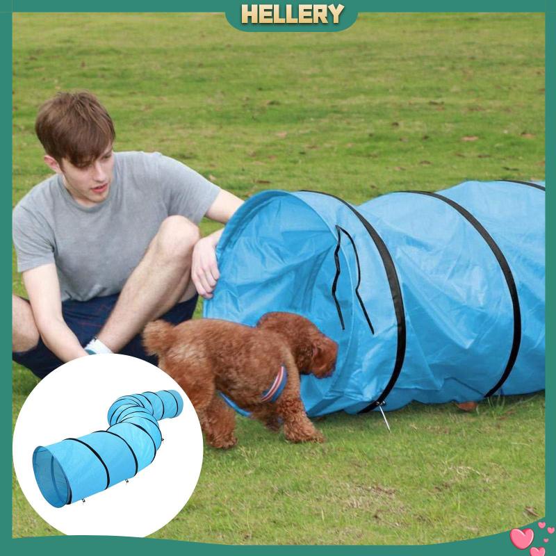 Đường Hầm Đồ Chơi Trọng Lượng Nhẹ Dành Cho Mèo Cưng