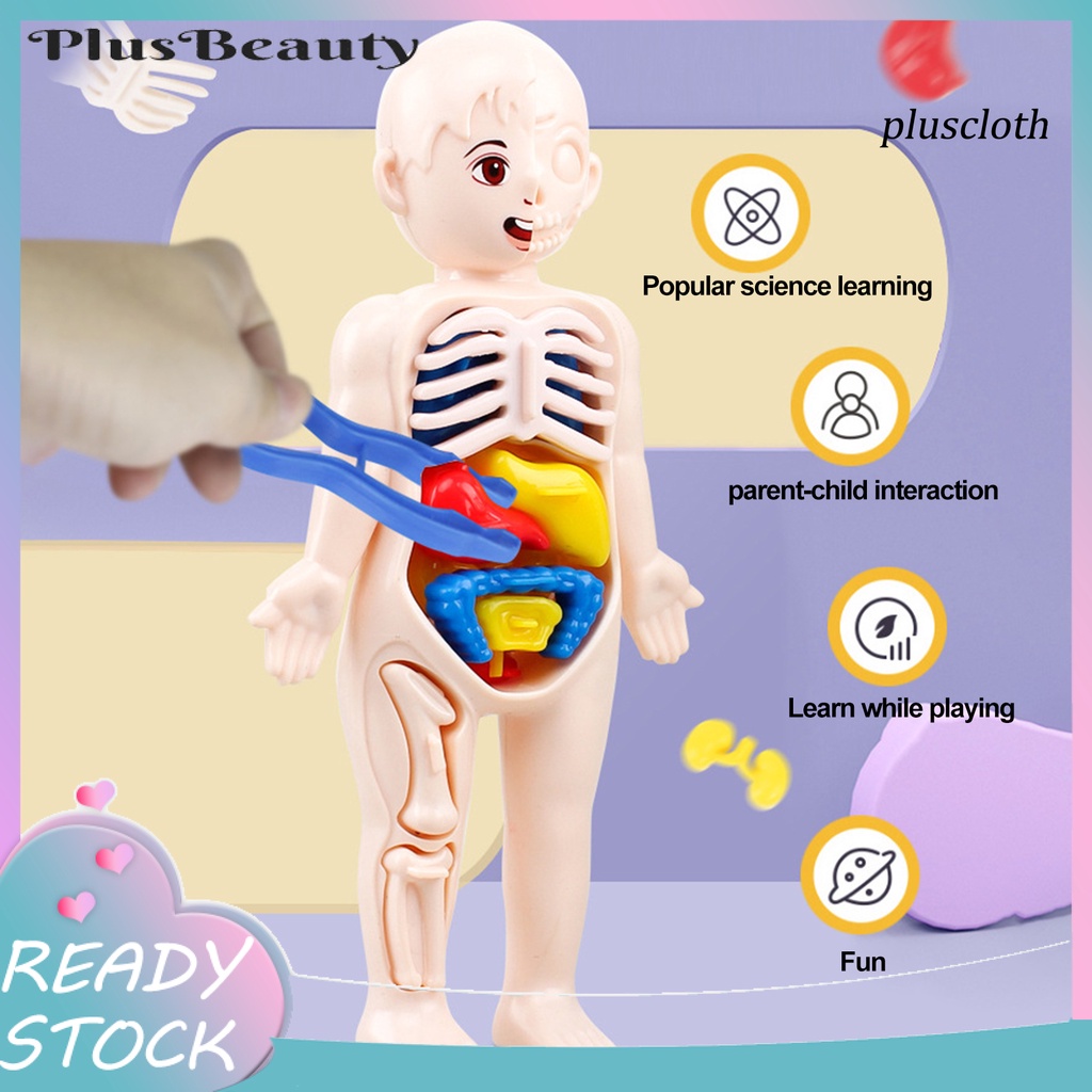 1 Bộ Đồ Chơi Mô Hình Cơ Thể Người Màu Sắc Tươi Sáng Thú Vị Giáo Dục Sớm Cho Bé