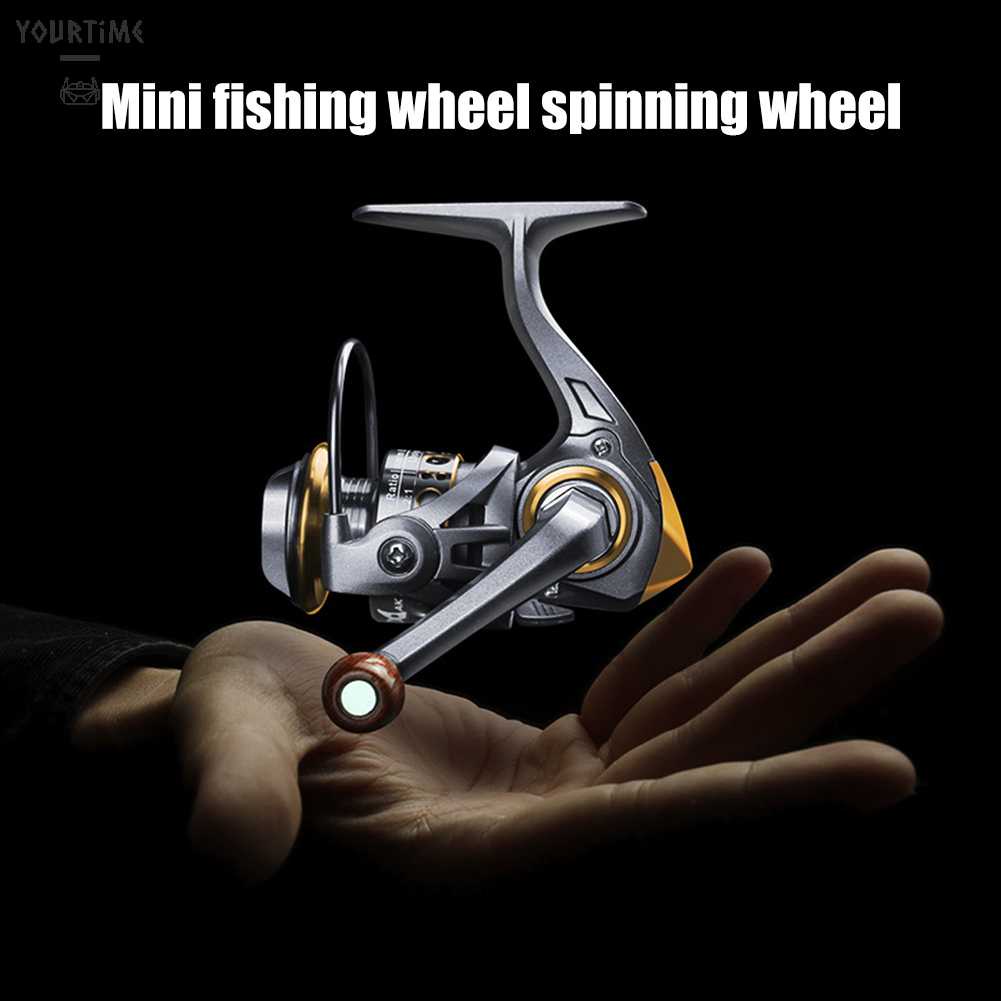 Máy Câu Cá Mini 5.2 1 5KG Độ Nhạy Cao