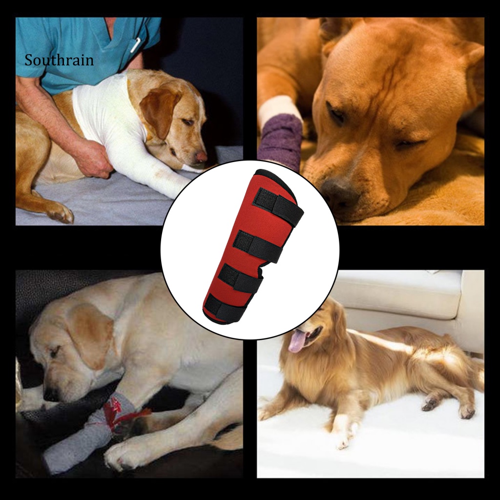 1 Đệm Bảo Vệ Đầu Gối Thoáng Khí Thoải Mái Hỗ Trợ Phục Hồi Chó