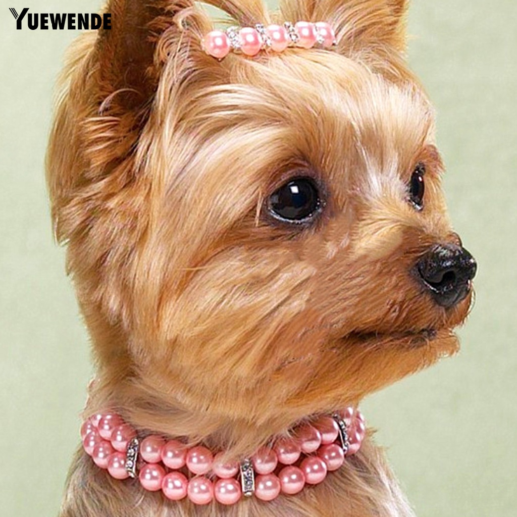 Vòng Cổ YQ.E Co Giãn Tốt 4 Màu Đính Ngọc Trai Giả Cỡ Vừa / Vừa / Mèo Độc Đáo Trang Trí Ngoài Trời