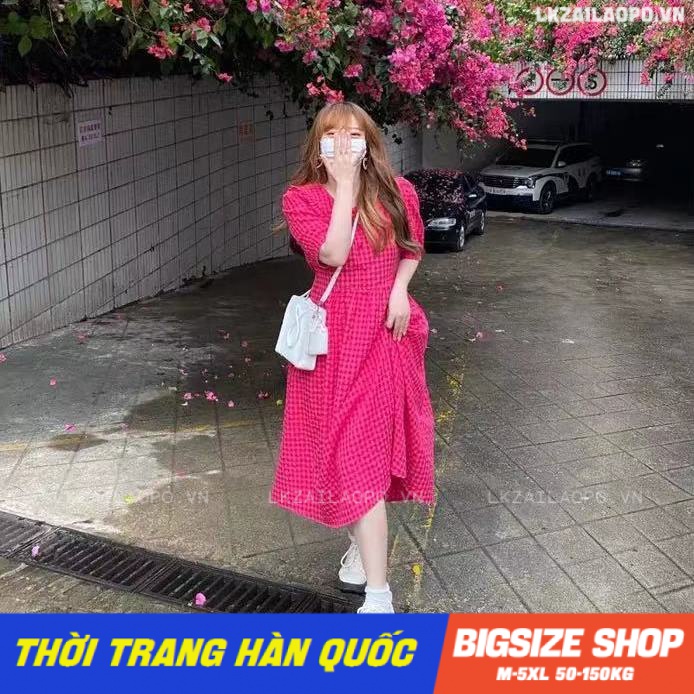 Váy đầm nữ Bigsize Đầm caro dáng dài tay ngắn cổ chữ v mùa hè Phong cách Hàn Quốc Thời Trang đẹp