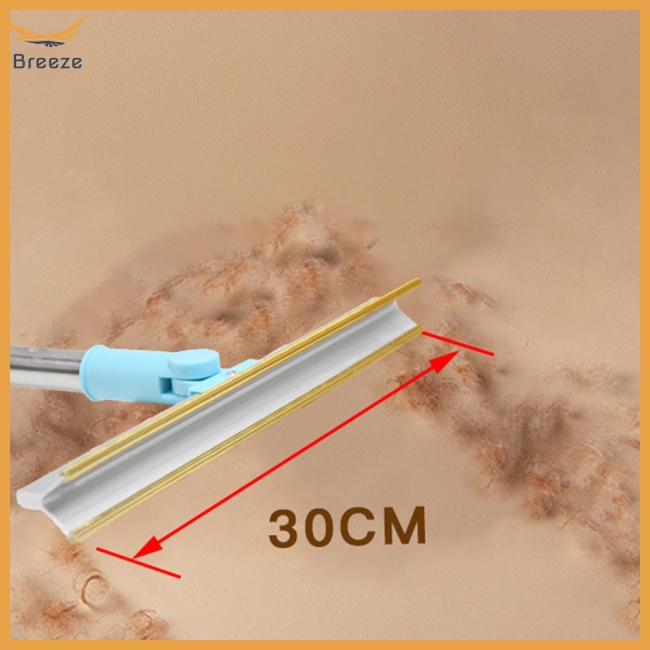 Chổi Quét Lông Thú Cưng Có Thể Tái Sử Dụng Với Tay Cầm Dài Đa Năng