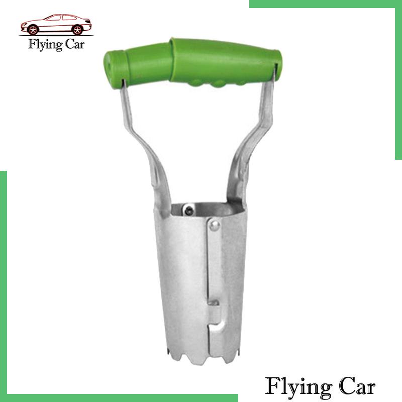 Bóng Đèn Trồng Cây Trong Vườn Kích Thước 4 Inches Đo Vết Rạn Da Tay