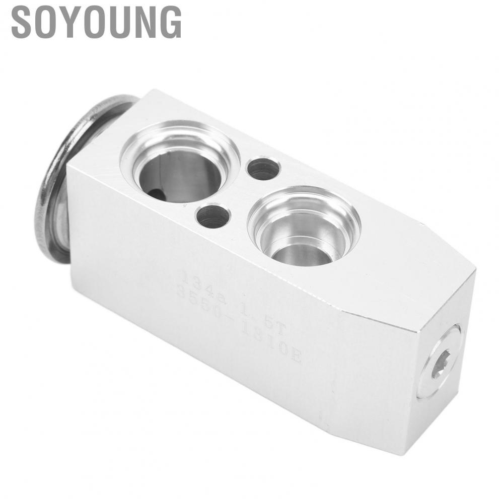 Soyoung 3411868  Reliable Lightweight High Efficiency AC Expansion Valve Front for Cars