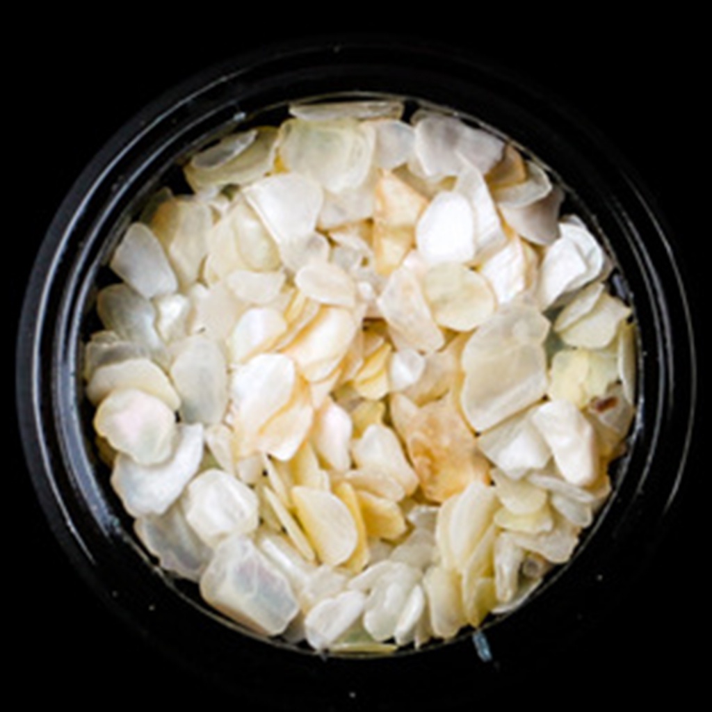 1 Hộp Phụ Kiện Trang Sức Trang Trí Móng Tay Nhiều Màu Mini Dễ Tẩy Vỏ Sò Siêu Mỏng