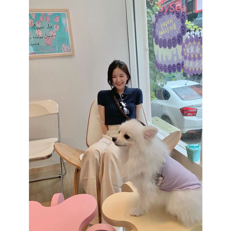 Áo Polo Dệt Kim Thời Trang Mùa Hè Hàn Quốc Dành Cho Nữ