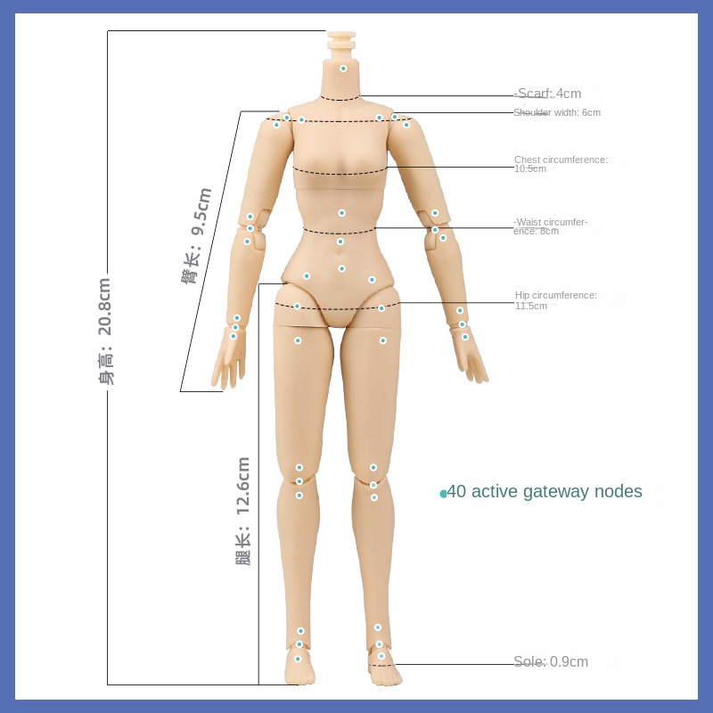 Mô Hình Cơ Thể Búp Bê Nam Nữ 6 Khớp 30cm