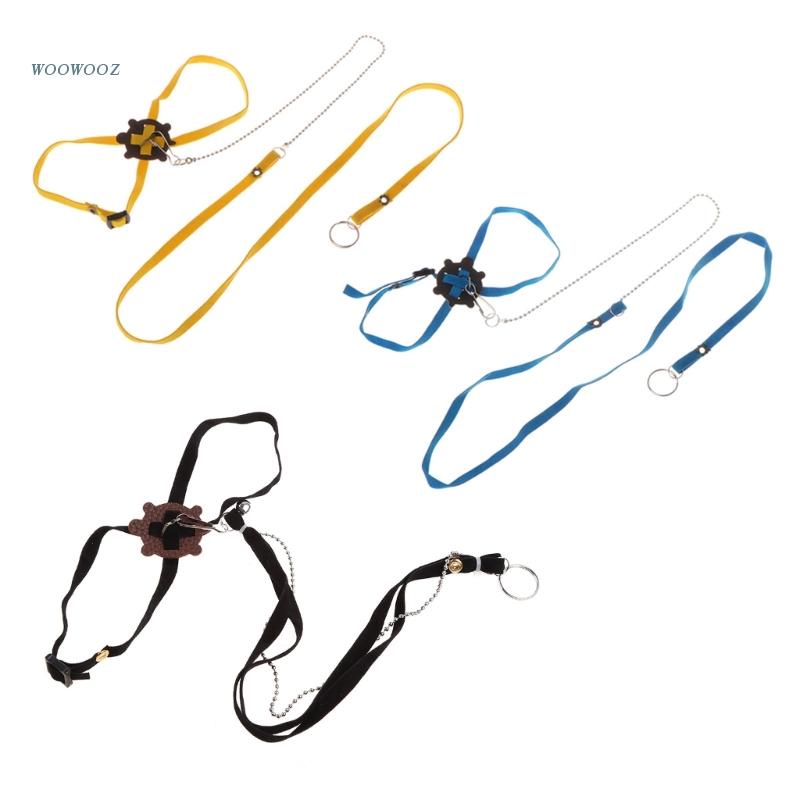 Dây Dẫn Thằn Lằn Có Thể Điều Chỉnh 1.2M Dành Cho Huấn Luyện Bò Sát