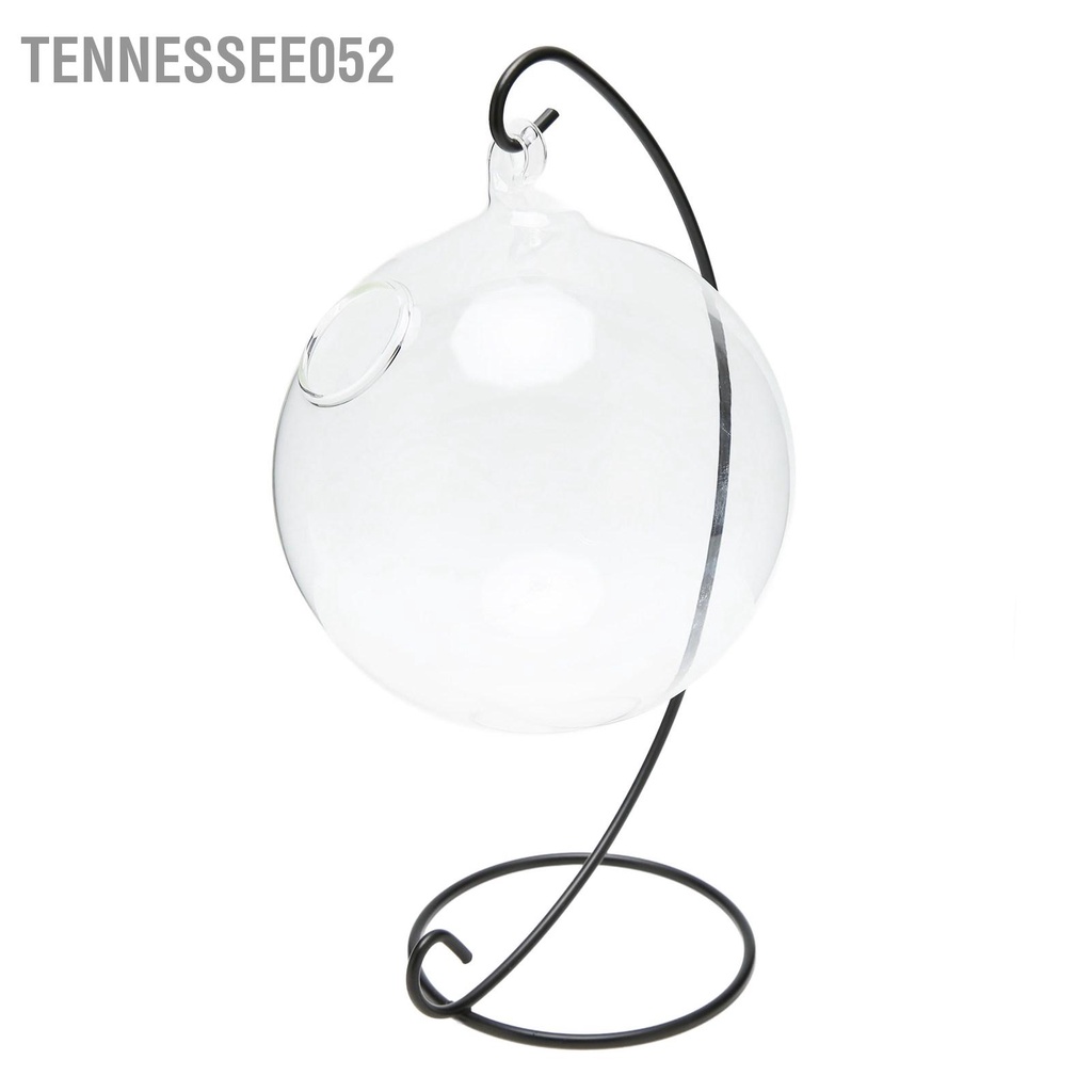 Tennessee052 Treo Bể Cá Thủy Tinh Để Bàn Trong Suốt Bát Có Chân Đế Trang Trí Văn Phòng Nhà Cửa