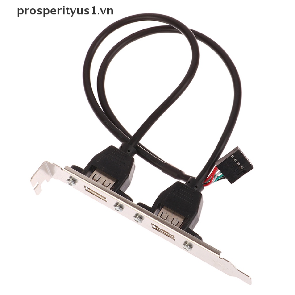 Bo Mạch Chủ prosperityus1 2 Cổng USB 2.0