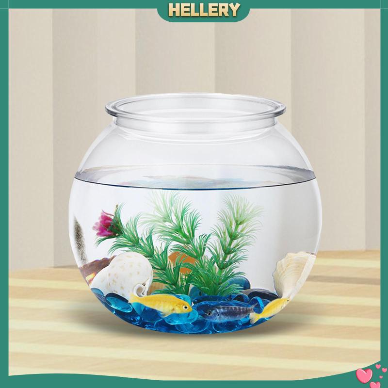 Bể Cá Trong Suốt Hình Tròn Dùng Trang Trí DIY