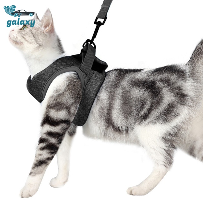 Galaxy Bộ Áo Vest + Dây Dắt Có Khóa Điều Chỉnh Thoáng Khí Chống Thoáng Khí Thoải Mái Cho Mèo