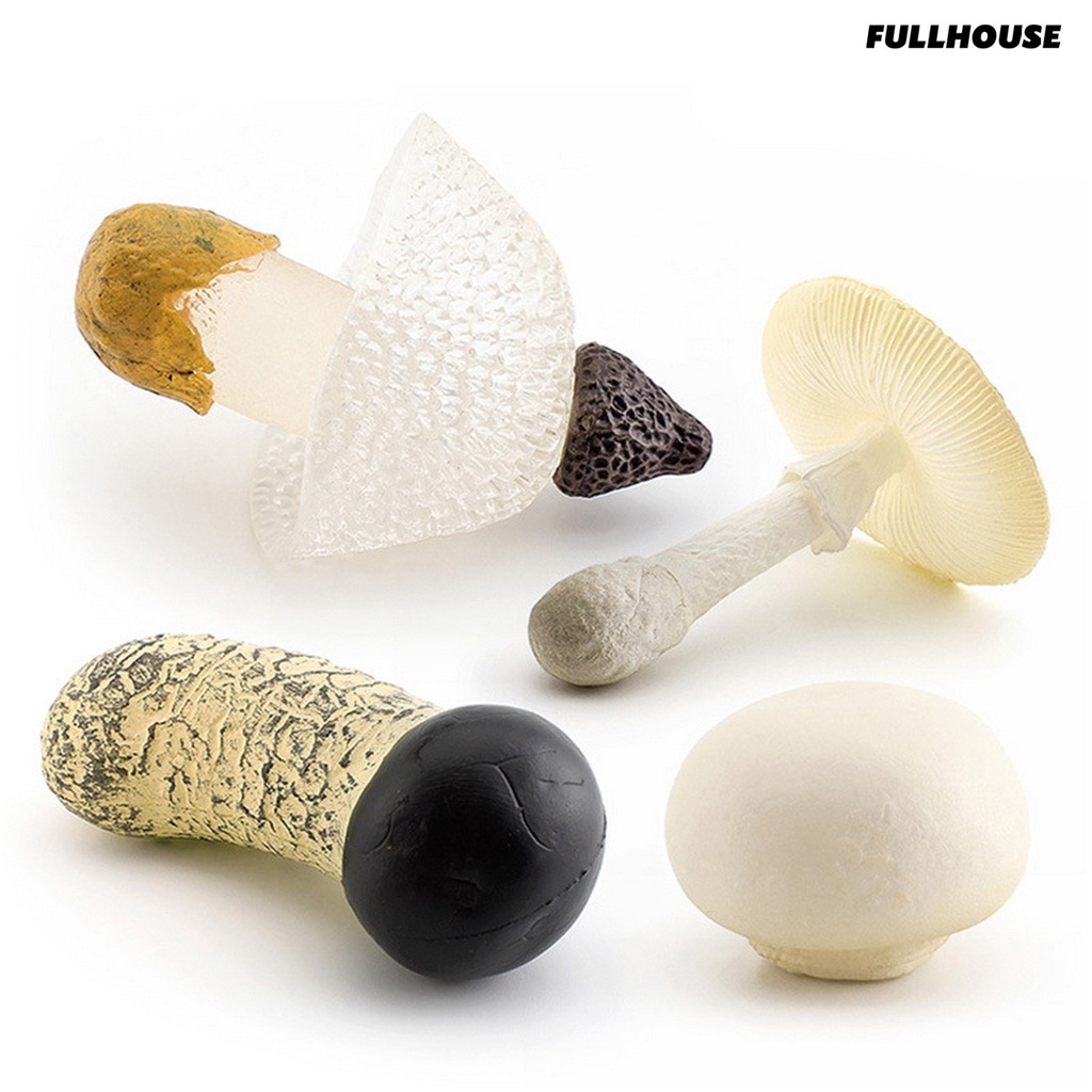 ❂Mô Hình Cây Nấm Mini Không Phai Màu Dùng Trang Trí Tiểu Cảnh