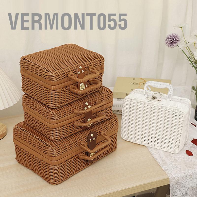Vermont055 Hộp dã ngoại dệt bằng mây nhựa lưu trữ kiểu cổ điển không mùi có tay cầm hình vòng cho ngoài trời