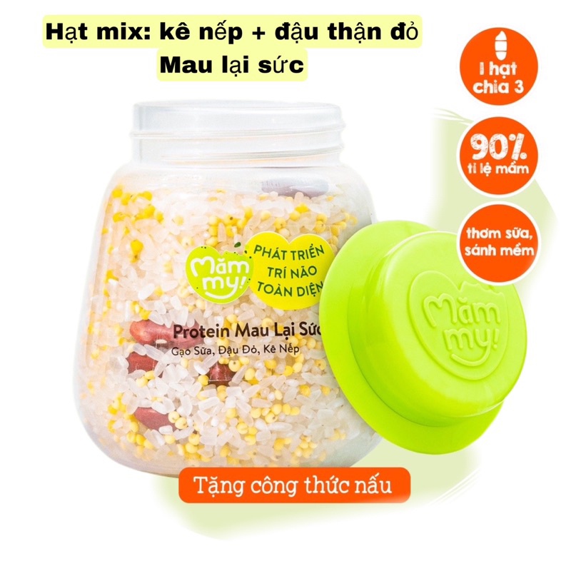 Combo 9 hũ đậu hạt hữu cơ Mix sẵn, nấu cháo bổ sung chất dinh dưỡng cho bé ăn dặm trên 6 tháng, 130gr/ 1 hũ