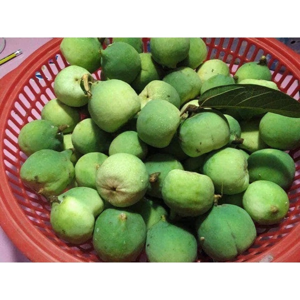 500g Hạt mác púp Cao Bằng - hạt thạch trắng - hạt bông cỏ - macpup/ mắc púp