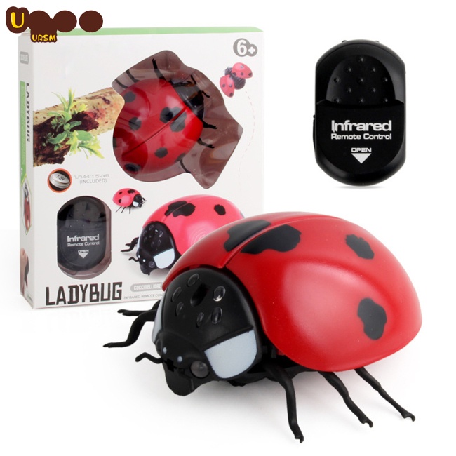 Đồ Chơi Côn Trùng Điện Tử Điều Khiển Từ Xa Hồng Ngoại Hình Halloween Cho Bé