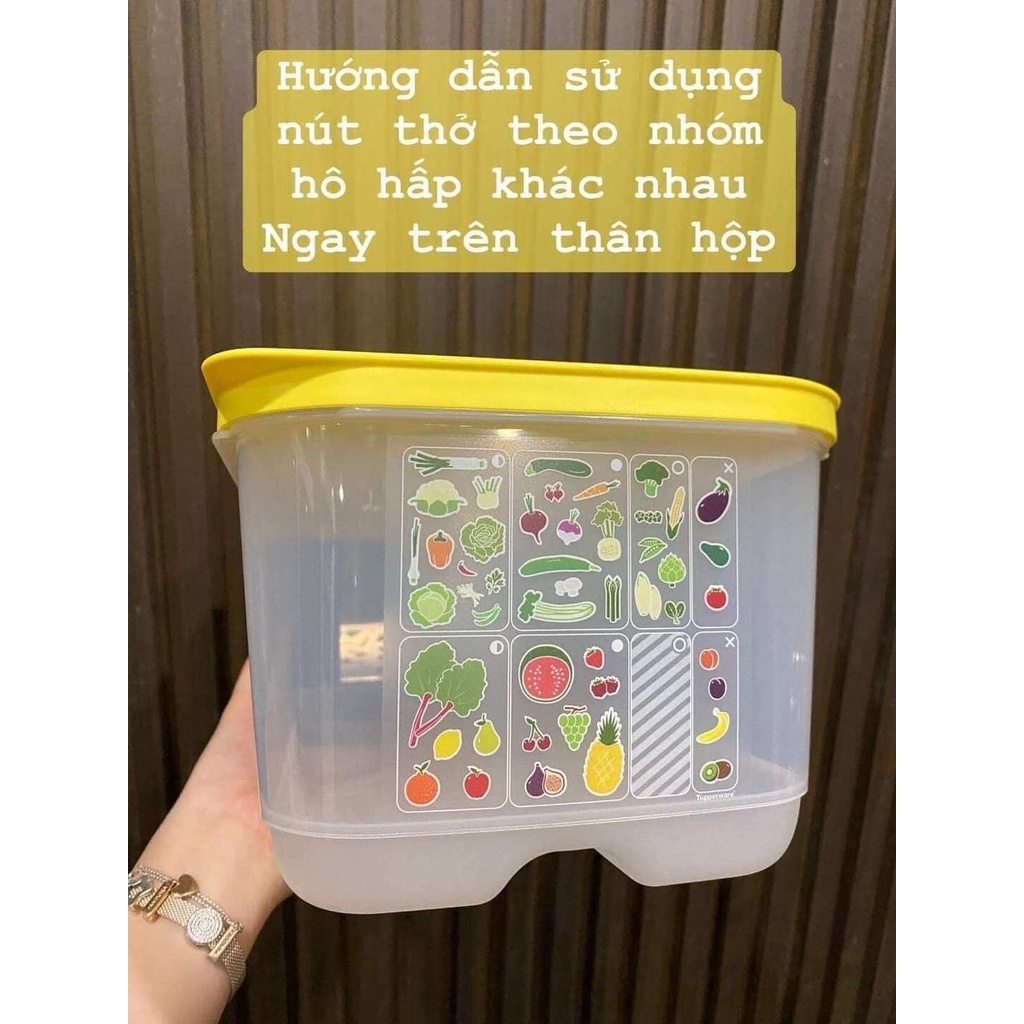Hộp trữ mát có nút hô hấp 6.1L Ventsmart