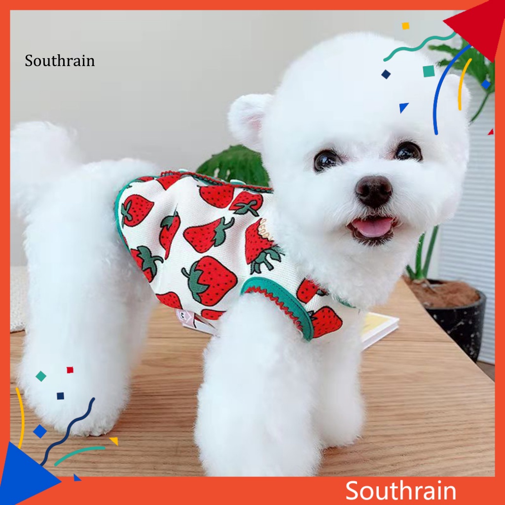 Bộ Đồ Hóa Trang Họa Tiết Dâu Tây Hoạt Hình Giữ Ấm Cho Cún Cưng