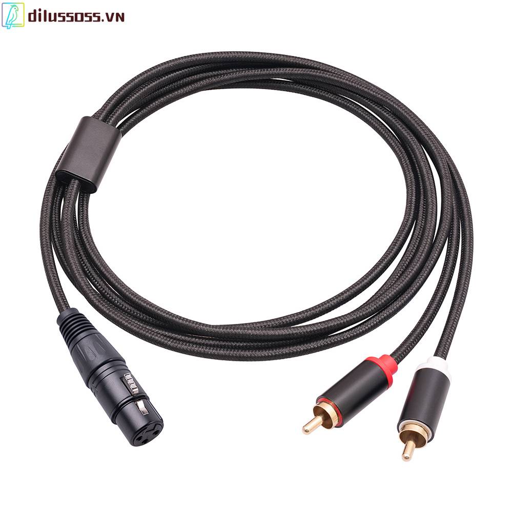 Cáp Chuyển Đổi Âm Thanh XLR Sang Dual RCA