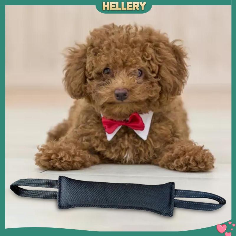 Đồ Chơi Nhai Gặm Hai Tay Cầm Mềm Mại Dành Cho Cún Cưng