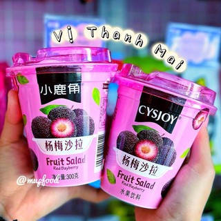 NƯỚC ÉP THẠCH TRÁI CÂY CYSJOY