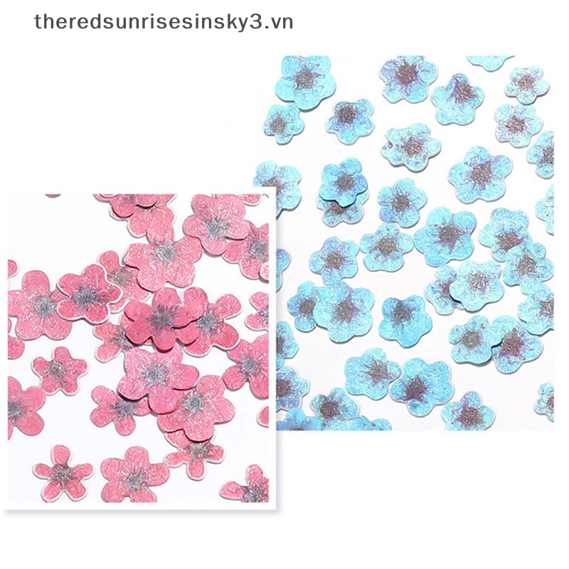 Bột Bột 3D DIY Họa Tiết Giáng Sinh Hợp Thời Trang Trang Trí Móng Tay