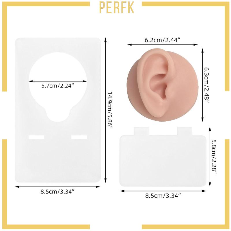 Mô Hình Tai Người Bằng Silicone Dẻo Trưng Bày Trang Sức